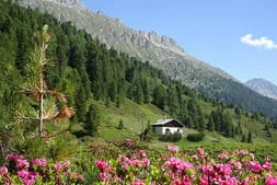 Zwei-Tages-Fahrt-Südtirol Bild 25