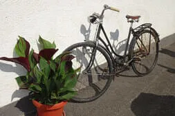 Zwei-Rad-Spektakel Bild 45