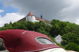 Käfertreffen Wörth 2023 Bild 82