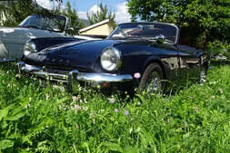 VW Käfer & Oldtimertreffen Tarrenz Bild 28
