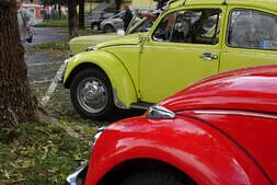 Herbstausfahrt 2024 Bild 31