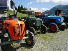 Almausflug-Elmaualm Bild 34