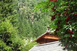 Ausflug in den Lungau Bild 62